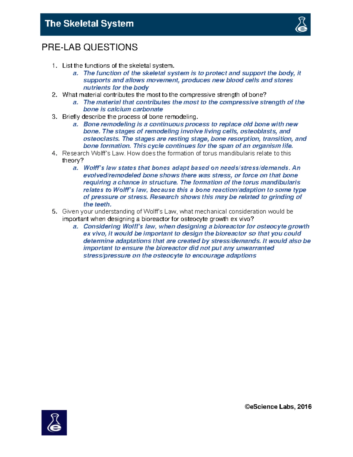 1,4,MP DS MP 2:2 Jolk - Scanned Notes Summary - Studocu