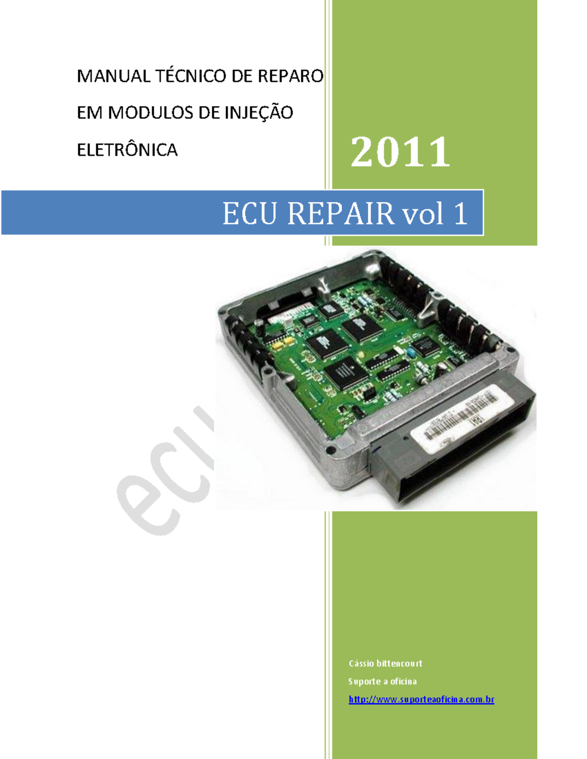 ECU Repair Manual Vol 1: Technical Insights into Injection Modules ...