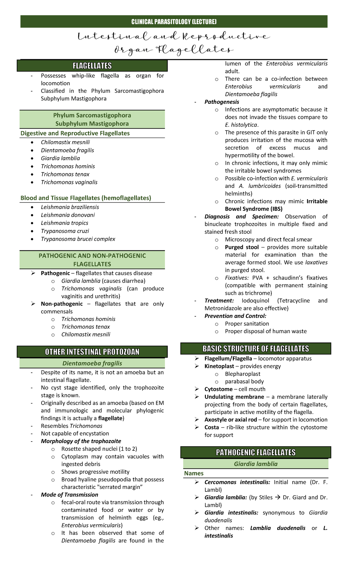 Atrial Flagellates: Parasitology Notes for Medtech Course - Studocu
