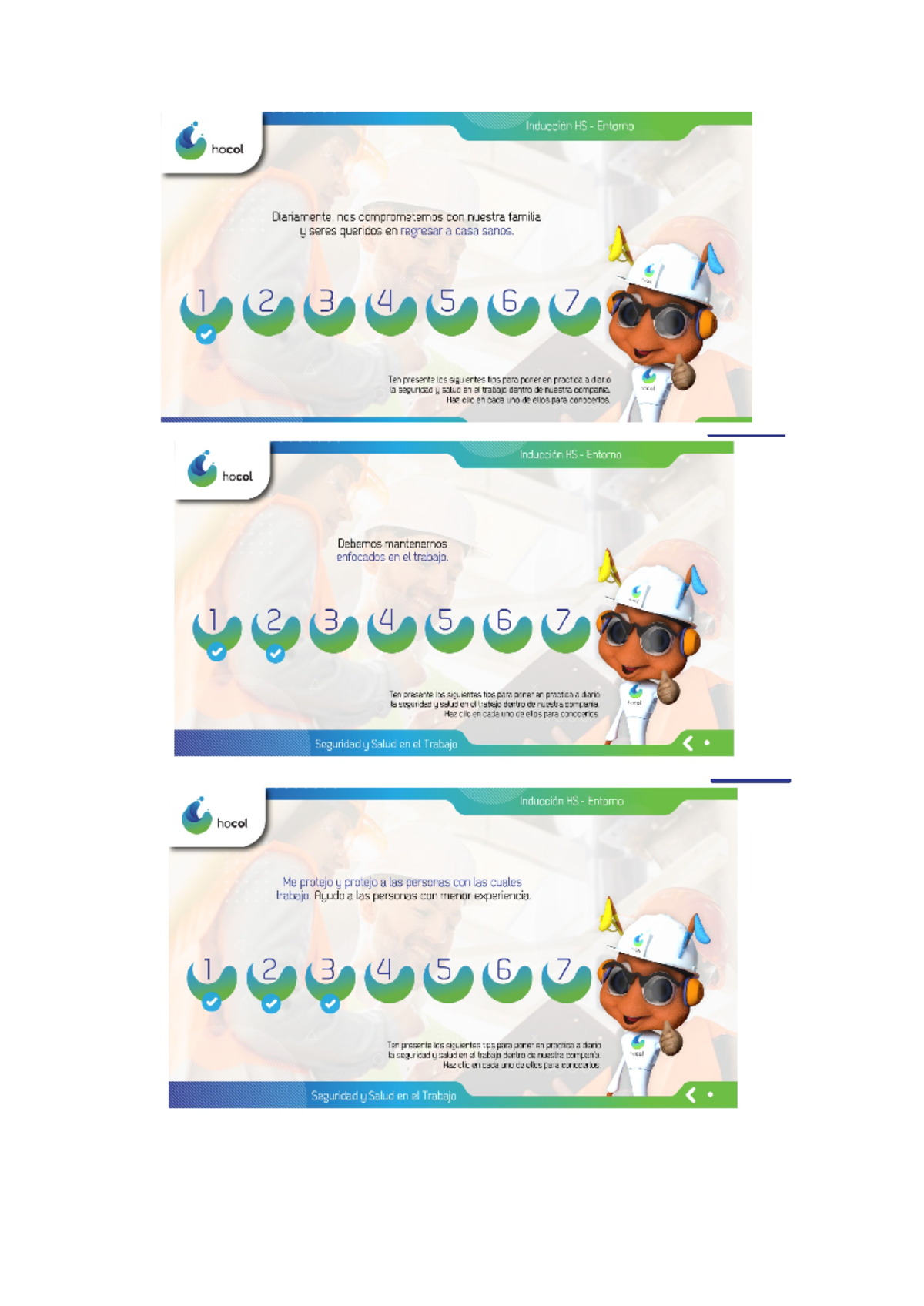 Inducción HS Entorno: Seguridad y Salud en el Trabajo en Hocol - Document Preview