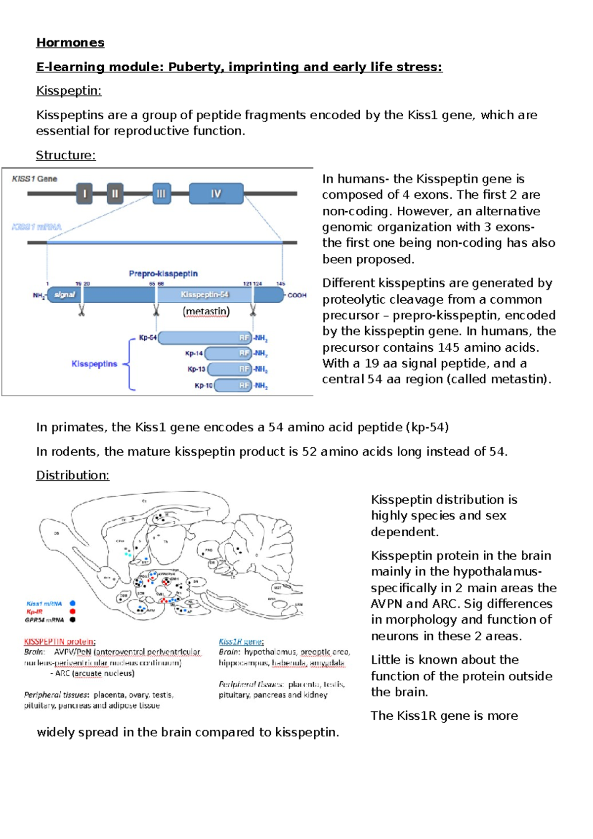 E-learning module- week 3 - Hormones E-learning module: Puberty ...