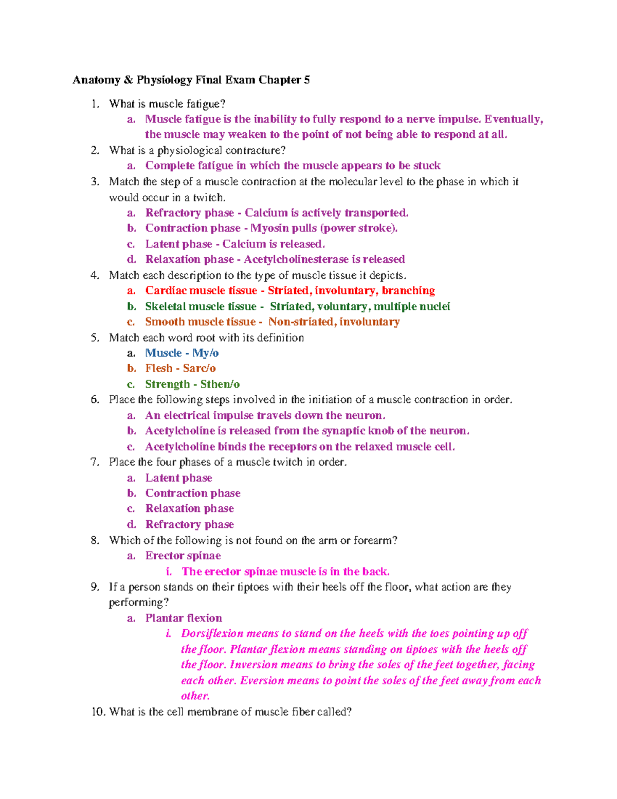 Anatomy & Physiology Final Exam Study Guide: Chapters 5-7 - Studocu