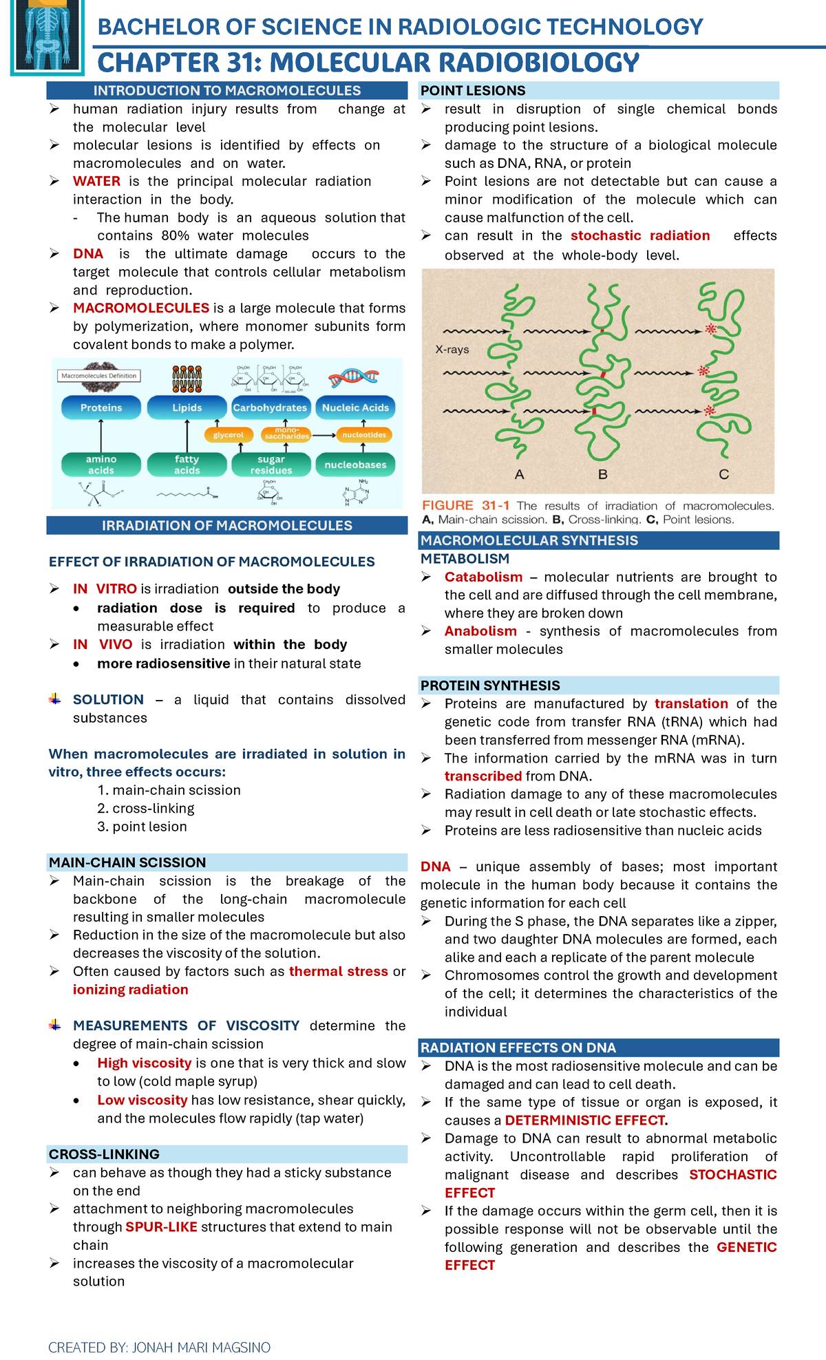 Chapter 31: Molecular Radiobiology in Radiologic Technology (BSc) - Studocu
