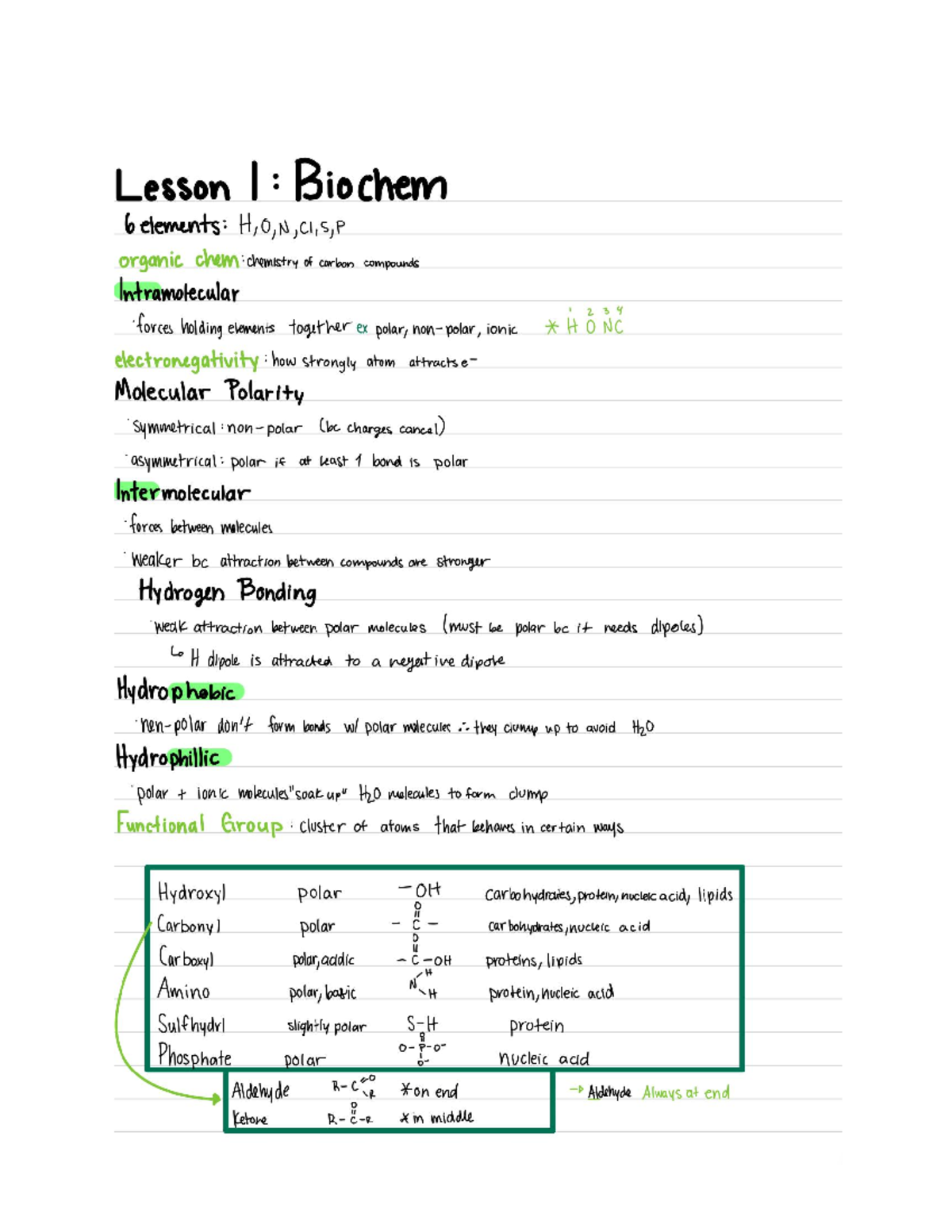 Biochem - Studocu