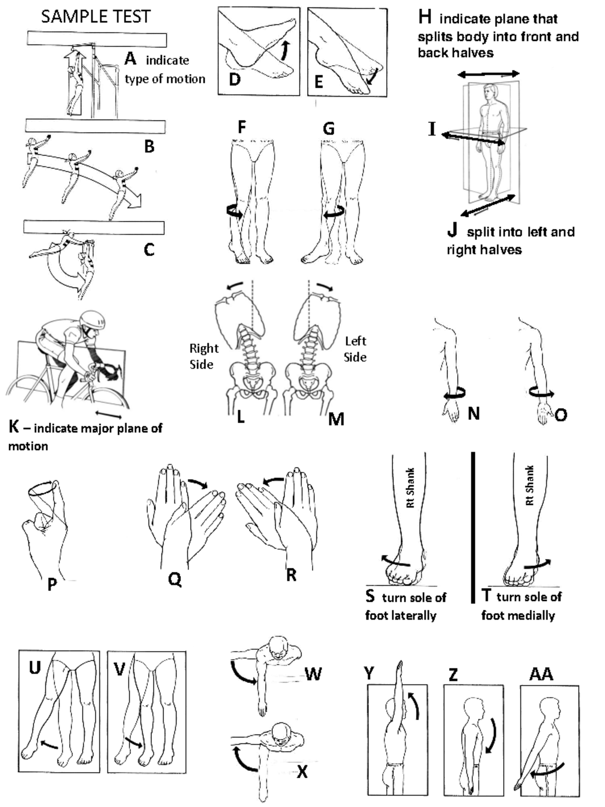 Sample Test on Body Planes and Motions - Studocu