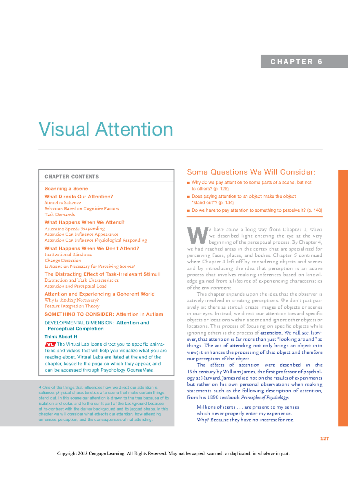Visual Attention in Reading: Analysis and Key Findings - Studocu