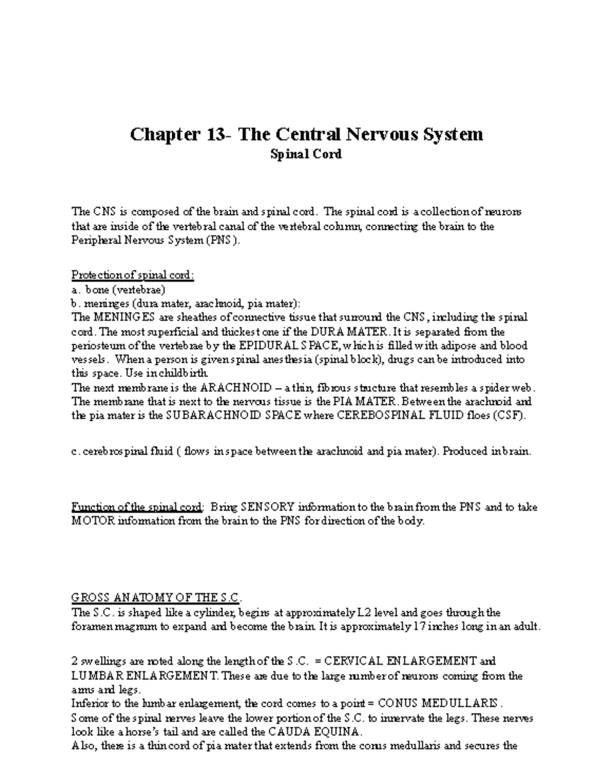 CNS Chapter 13 Notes: Structure and Function of the Nervous System ...