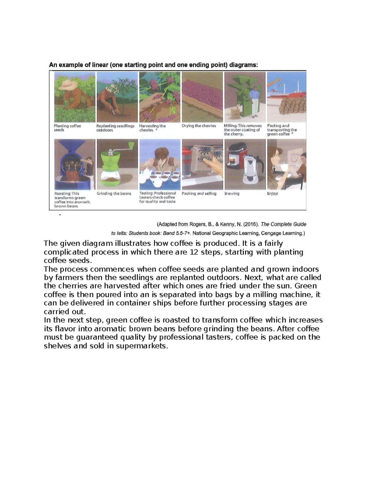 Coffee production process diagram - xvgsdvs - Studocu