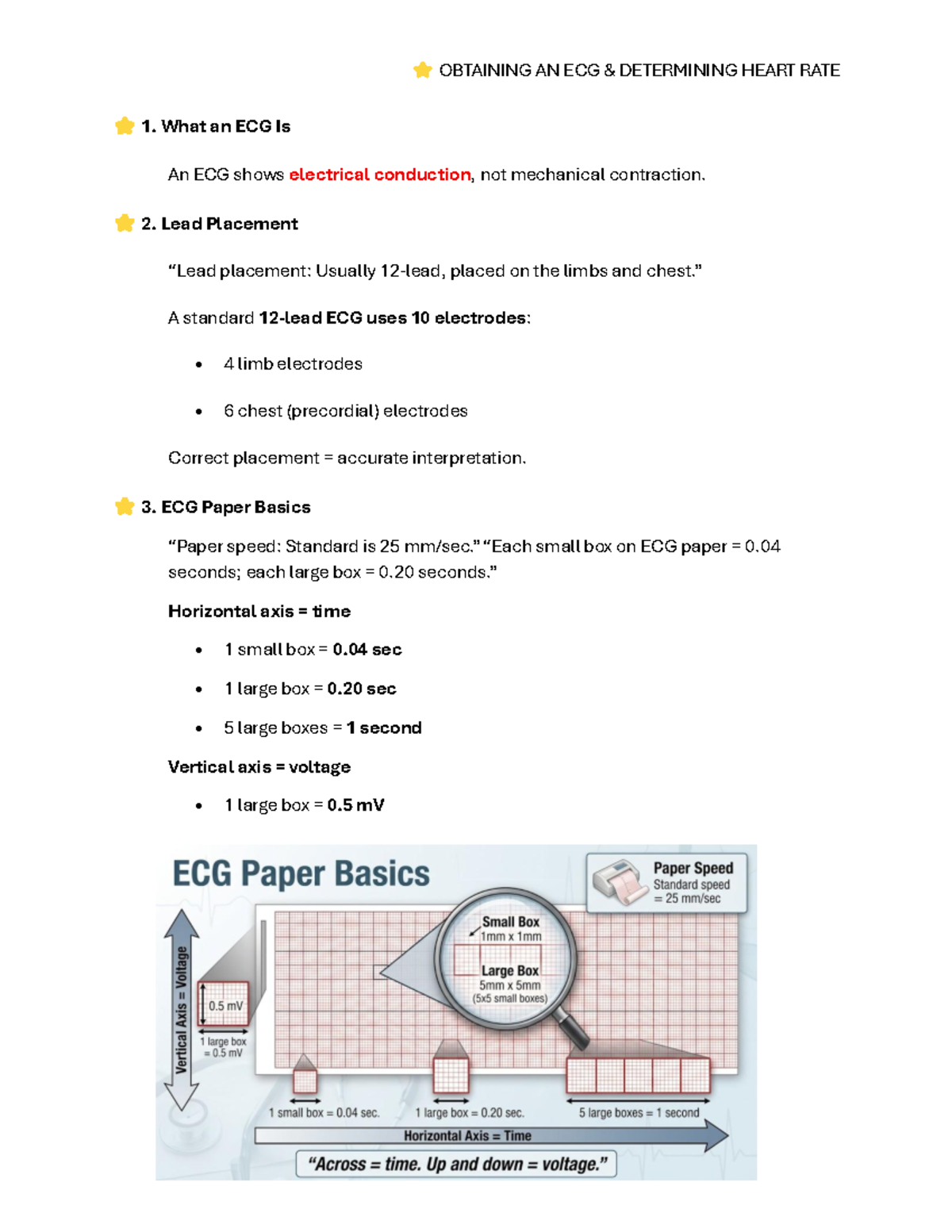 ⭐ ECG Basics & Heart Rate Determination (MED 101) - Studocu