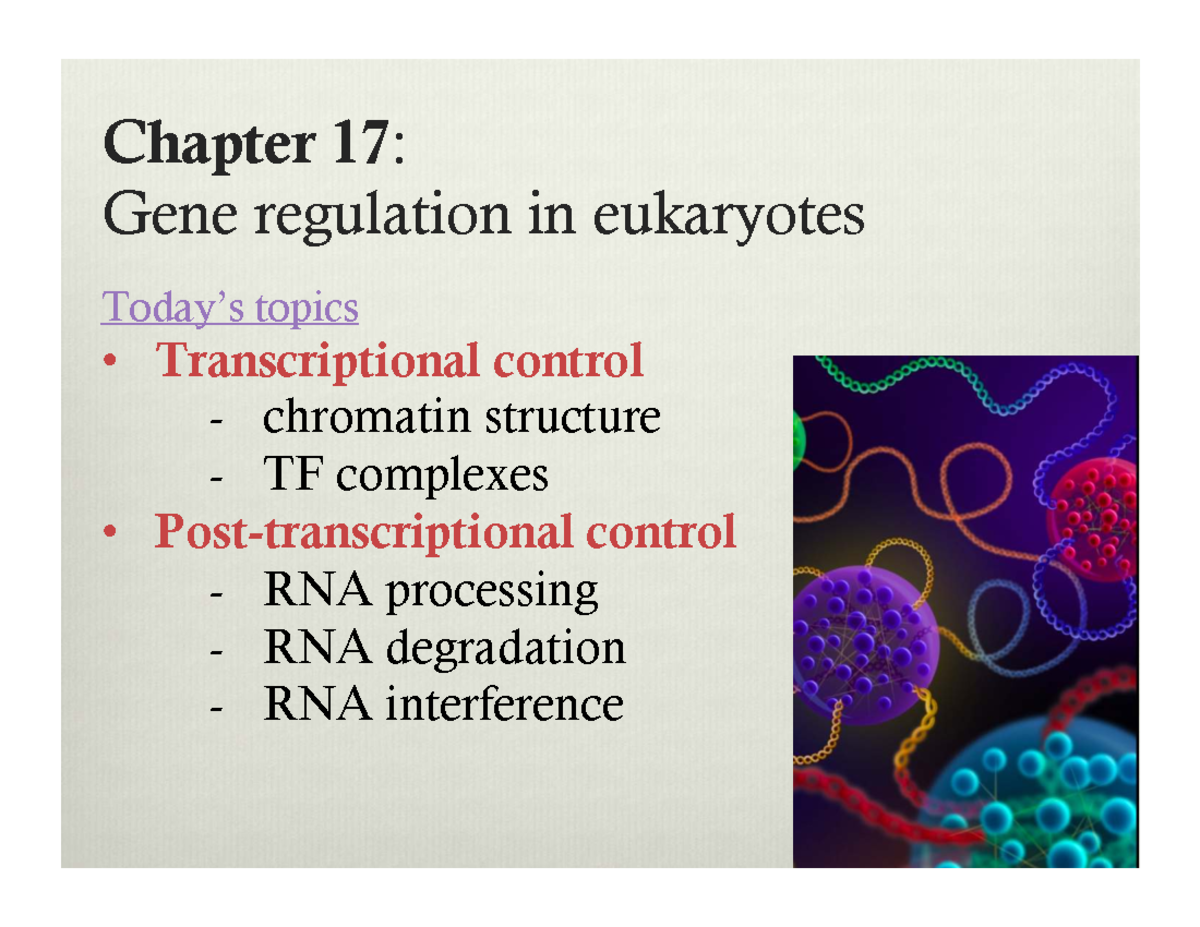Chapter 17: Eukaryotic Gene Regulation - Transcriptional Control - Studocu