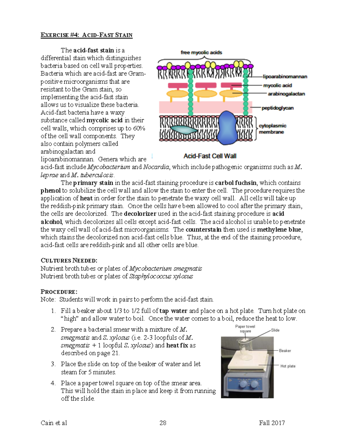 Acid-Fast Stain Procedure & Results - Exp 4 & 5-1 - Studocu