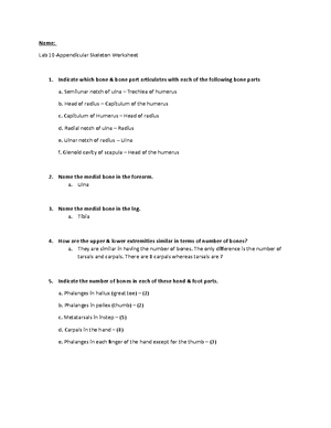 Lower Limb Anatomy Study Guide - Key Structures and Features - Studocu