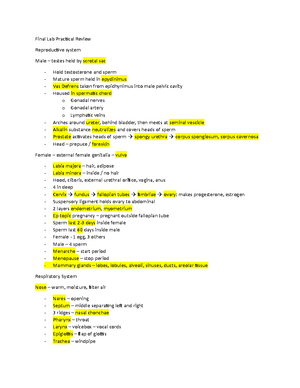 Caan-study-guide - DCF Child Abuse and Neglect (CAAN) Study Guide ...