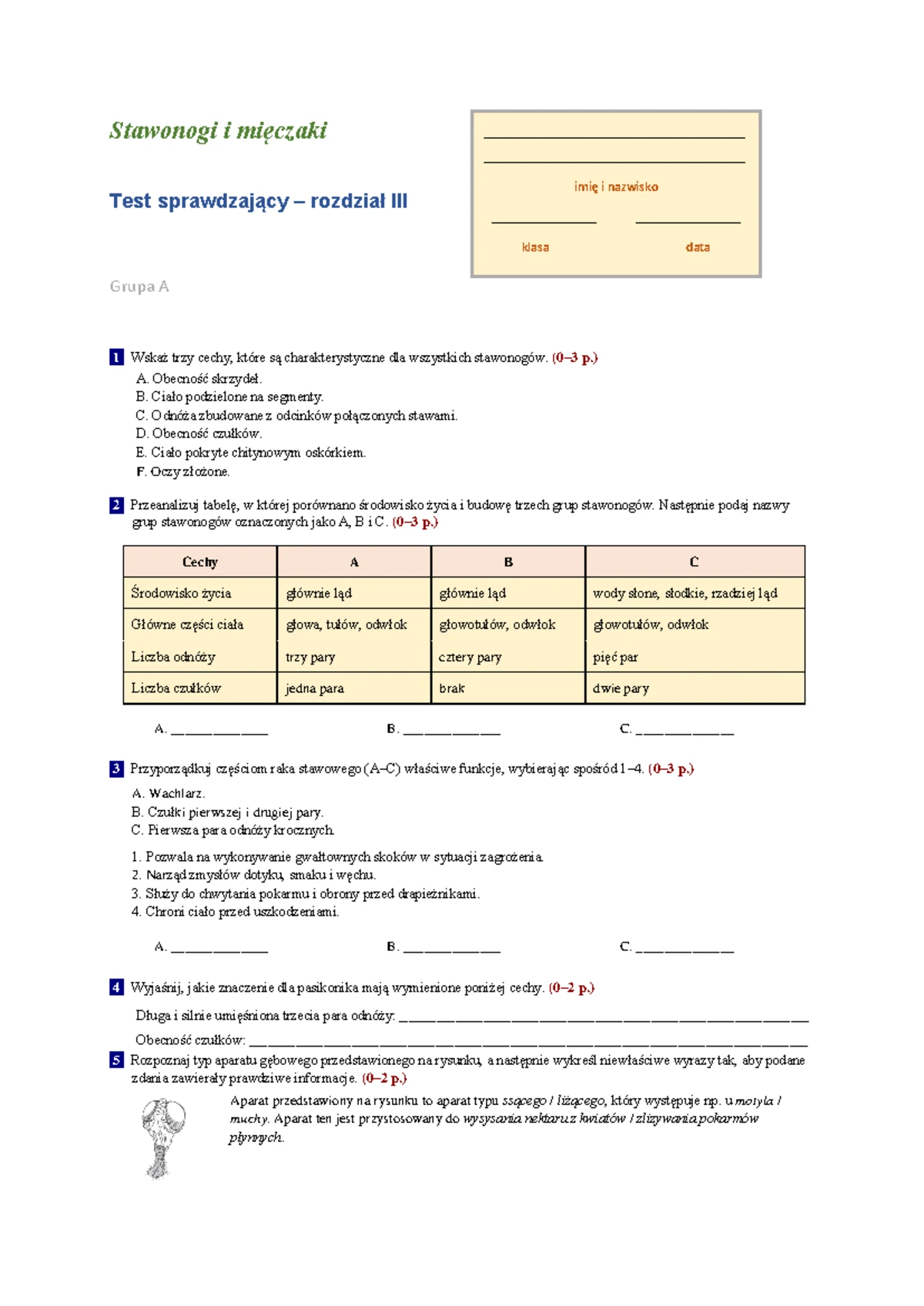 Kraj Kazimierza Wielkiego Sprawdzian Klasa 5