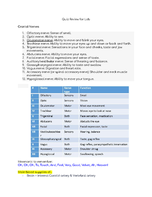 Review Sheet for Final Exam: Urinary System Overview (BIO 101) - Review ...