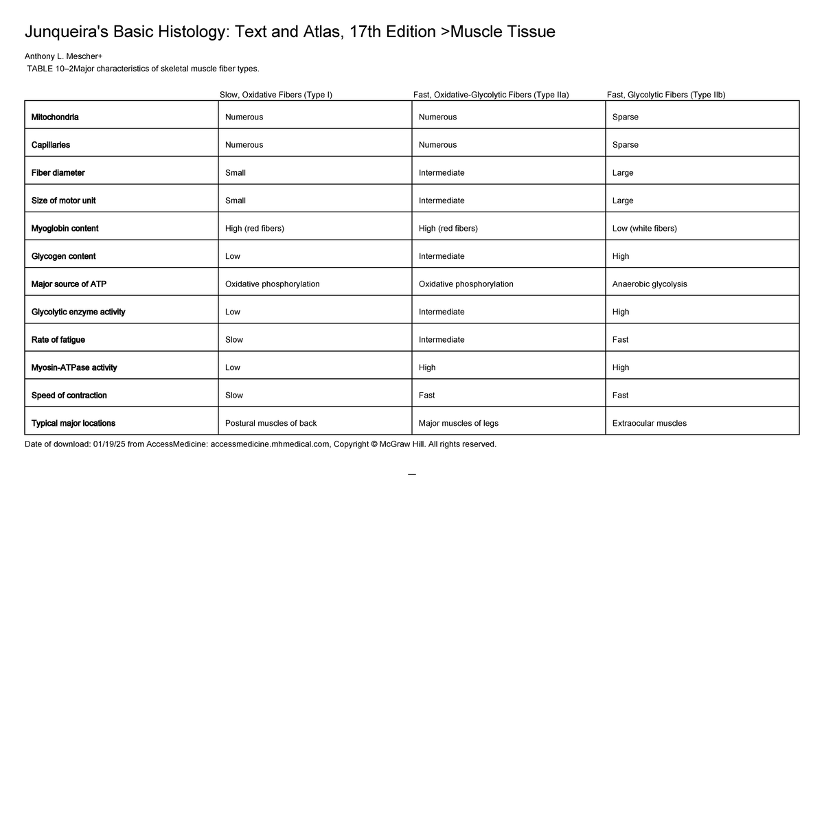 Table 10–2 Major characteristics of skeletal muscle fiber ty ...