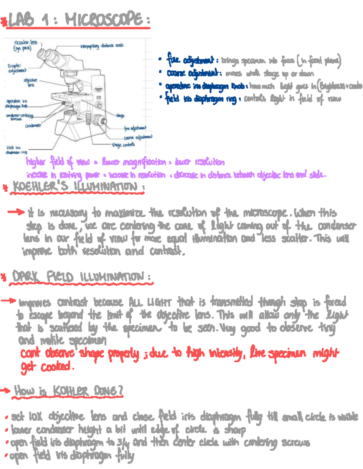 LAB 1-2 Review: Microscope & Bacteria Analysis in Biology - Studocu