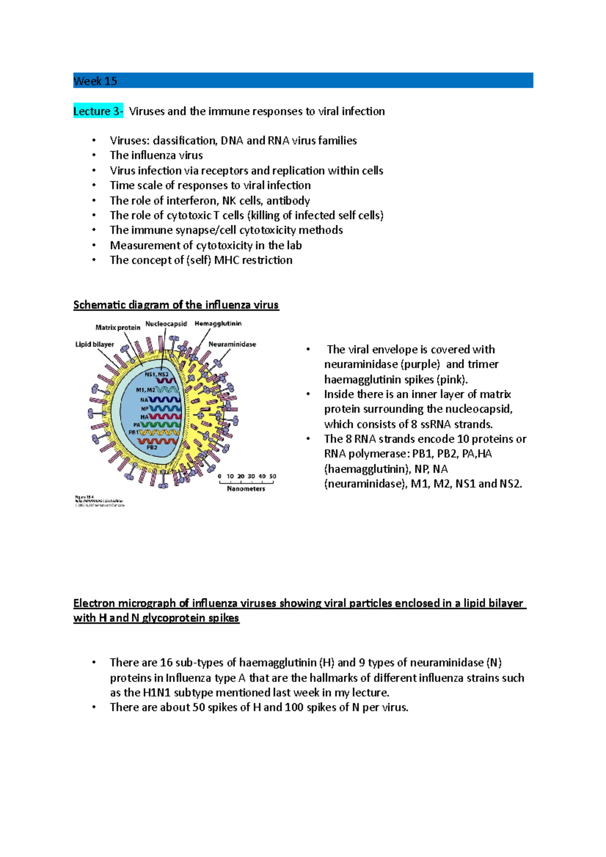 Week 15 part 1 - Lecture notes 3 - Week 15 Lecture 3- Viruses and the ...