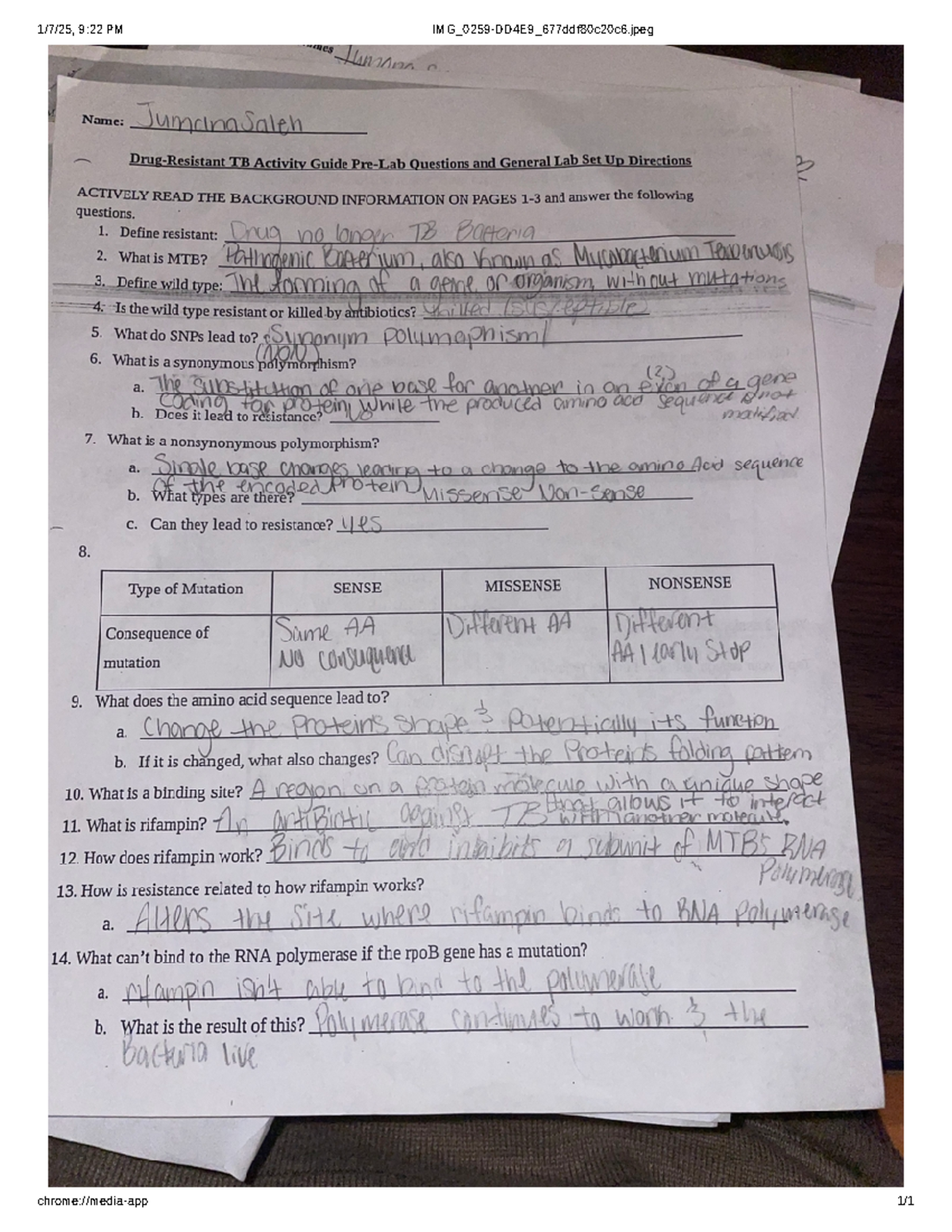 Drug-Resistant TB (TB 101) Lab Pre-Lab Questions & Setup Guide - Studocu