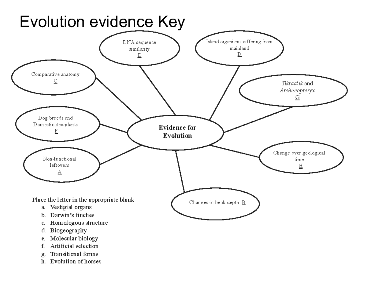 Evidence of Evolution: Key Concepts and Examples - Evolution evidence ...