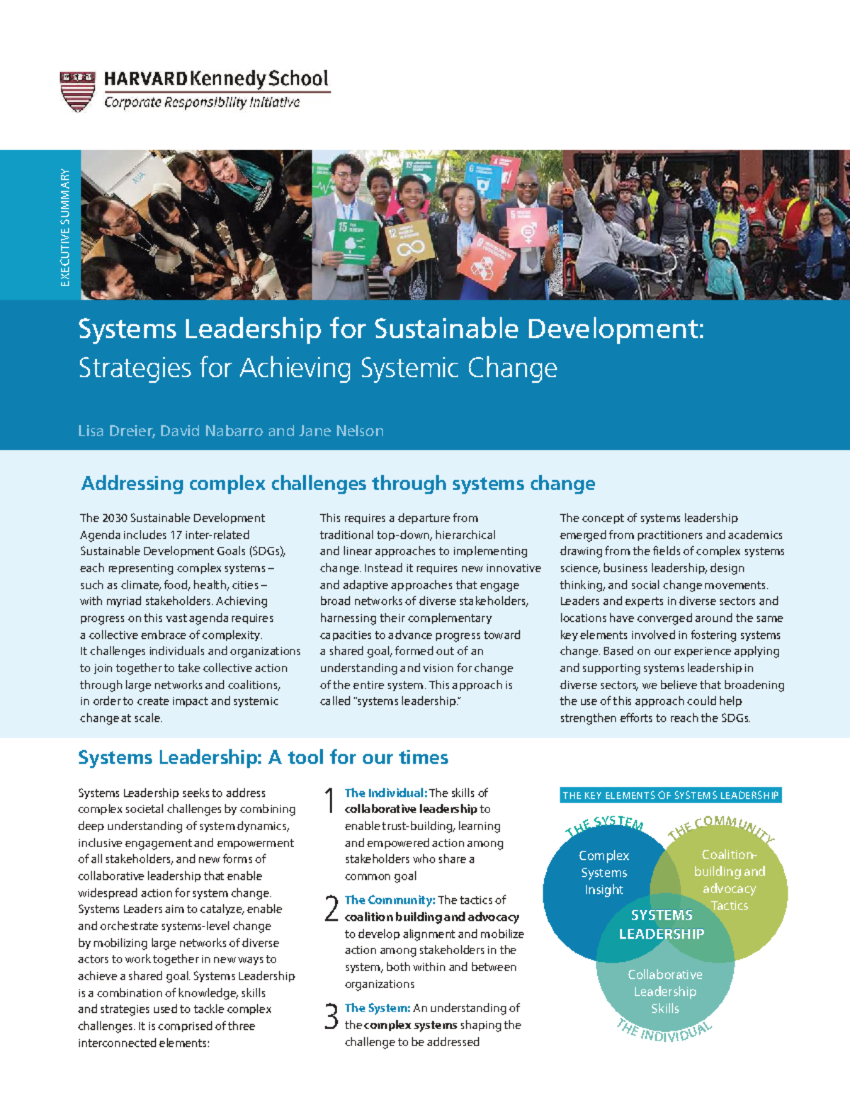 Systems Leadership for Sustainable Development: Executive Summary (ICT ...