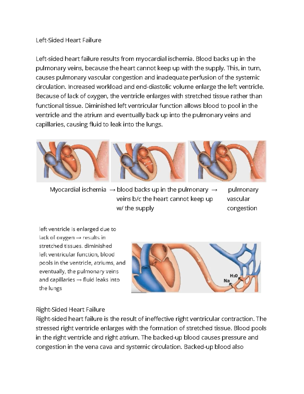 Systemic Ventricular Function