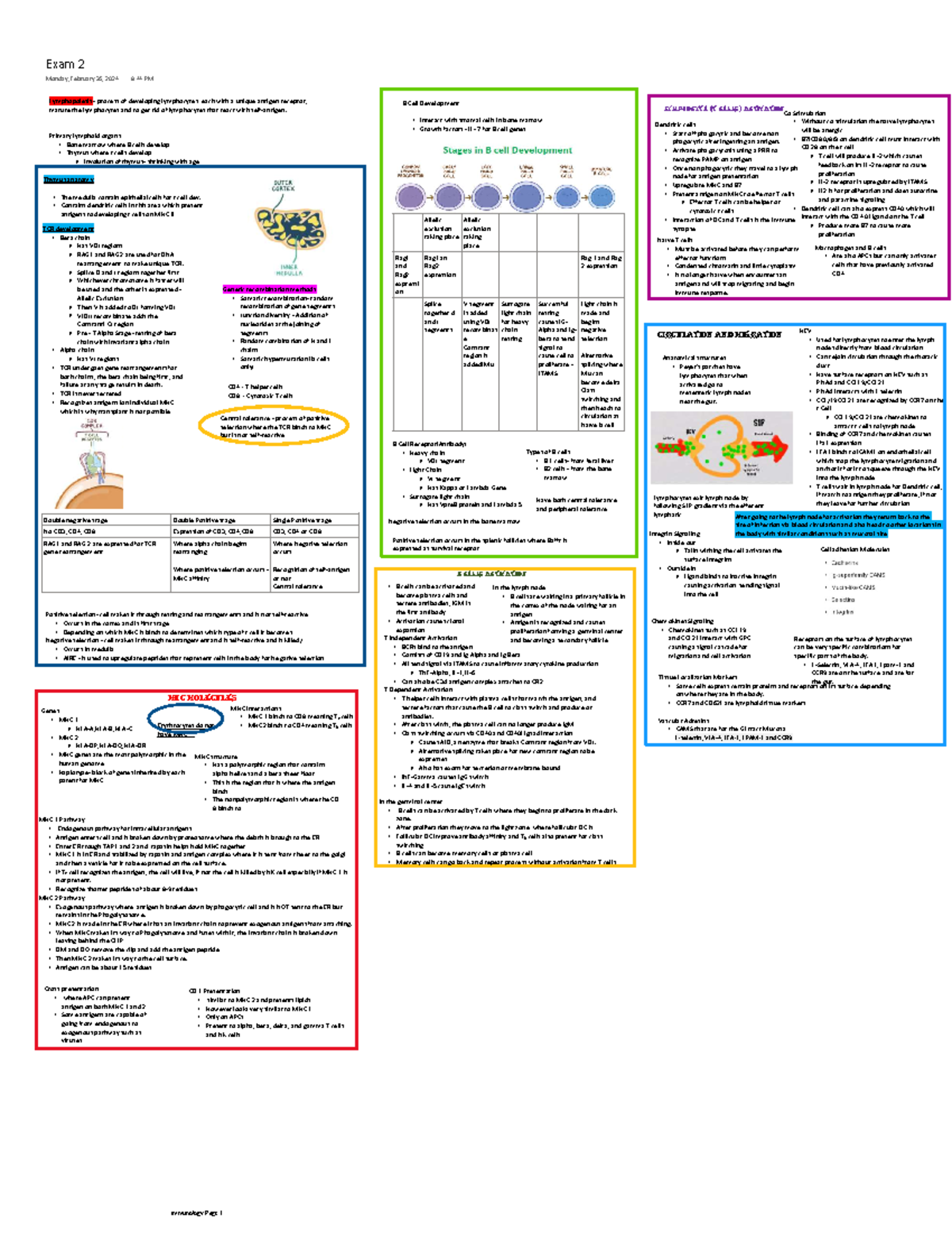 Exam 2 Study Sheet: Lymphocyte Development and Activation in Immunology ...