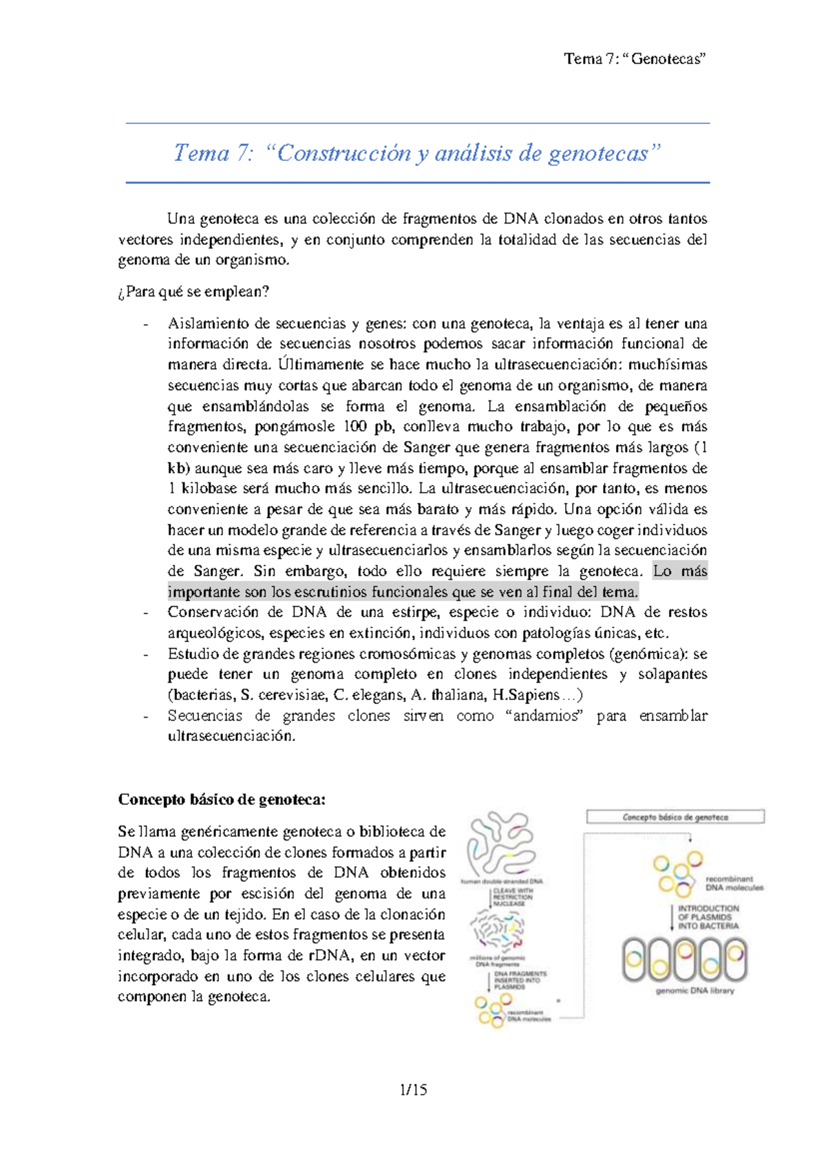 TEMA 7 - Construcción y Análisis de Genotecas: Apuntes Esenciales - Document Preview