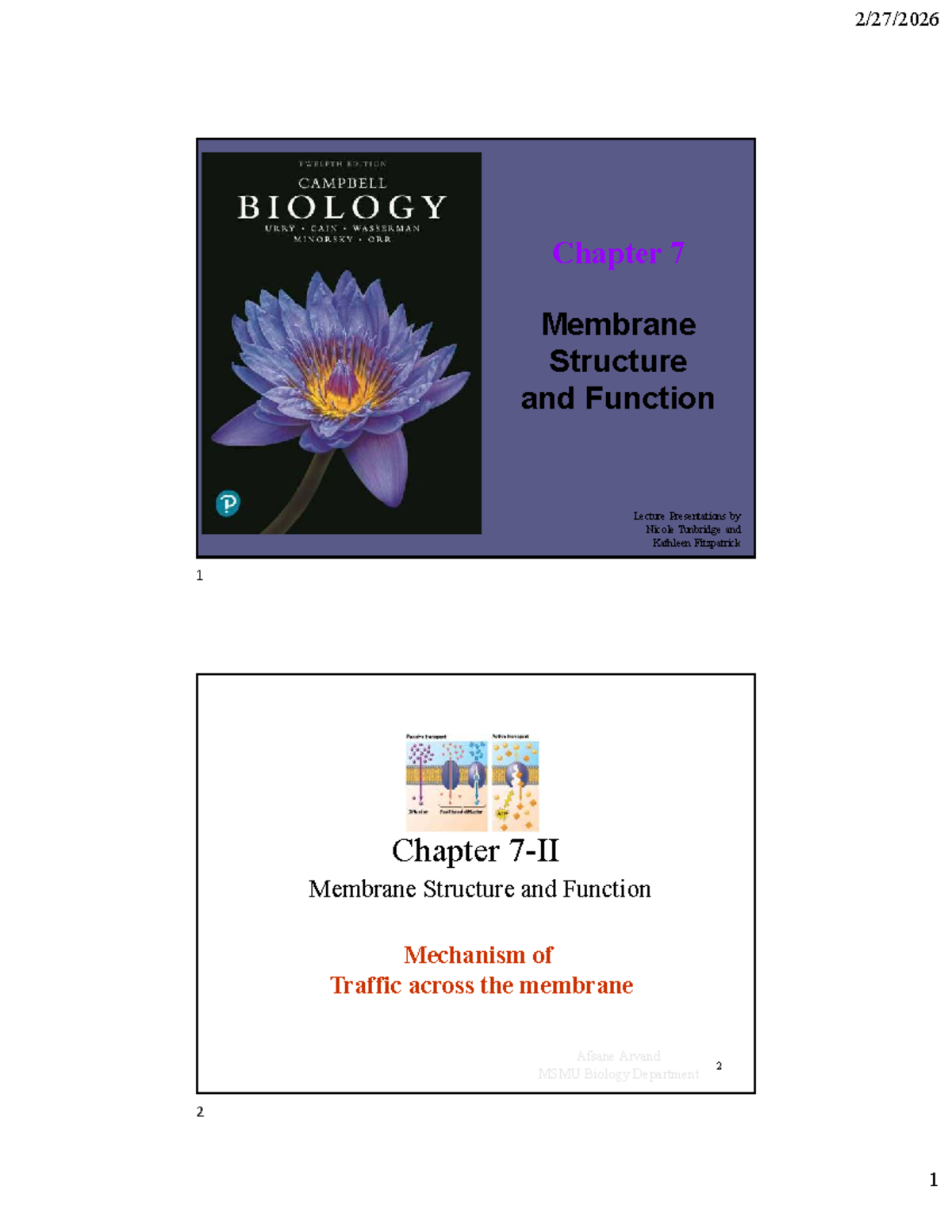 Chapter 7: Membrane Structure and Function Lecture - Studocu