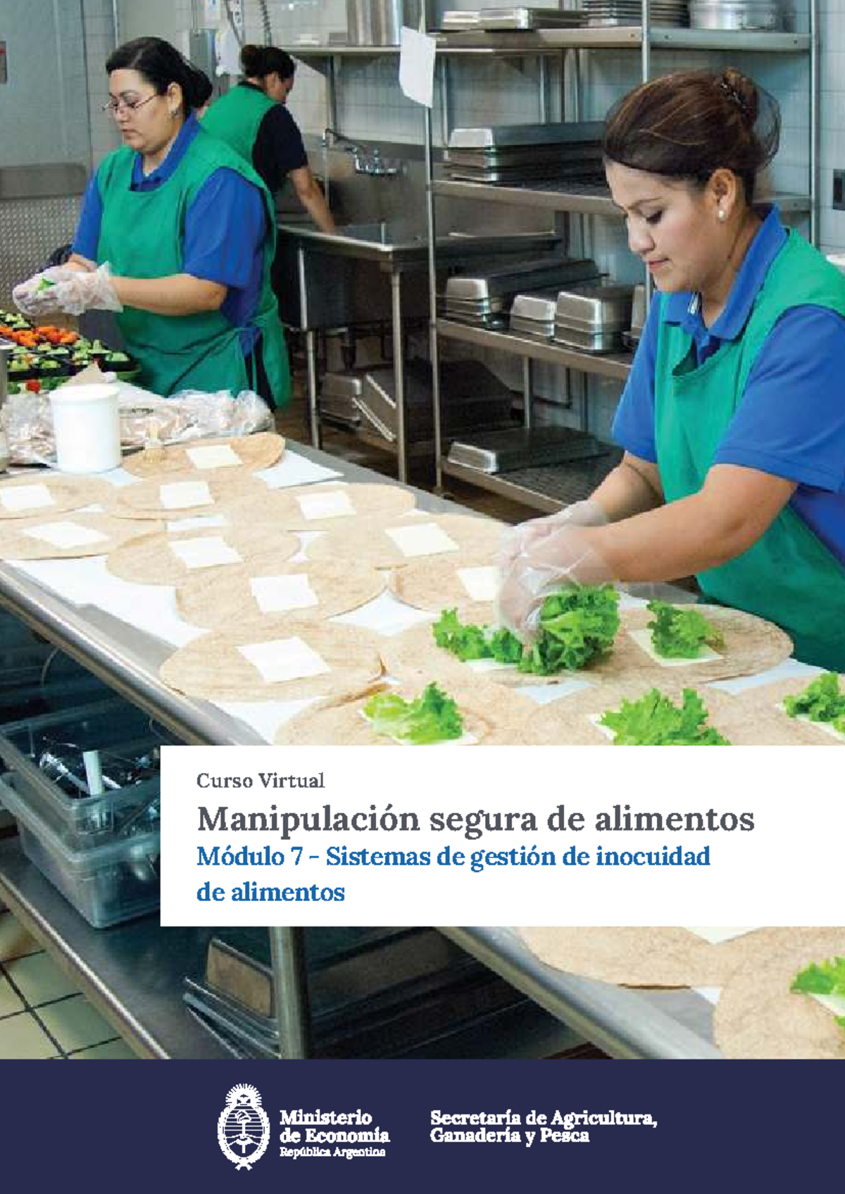 Módulo 7: Sistemas de Gestión de Inocuidad de Alimentos - Curso Virtual ...