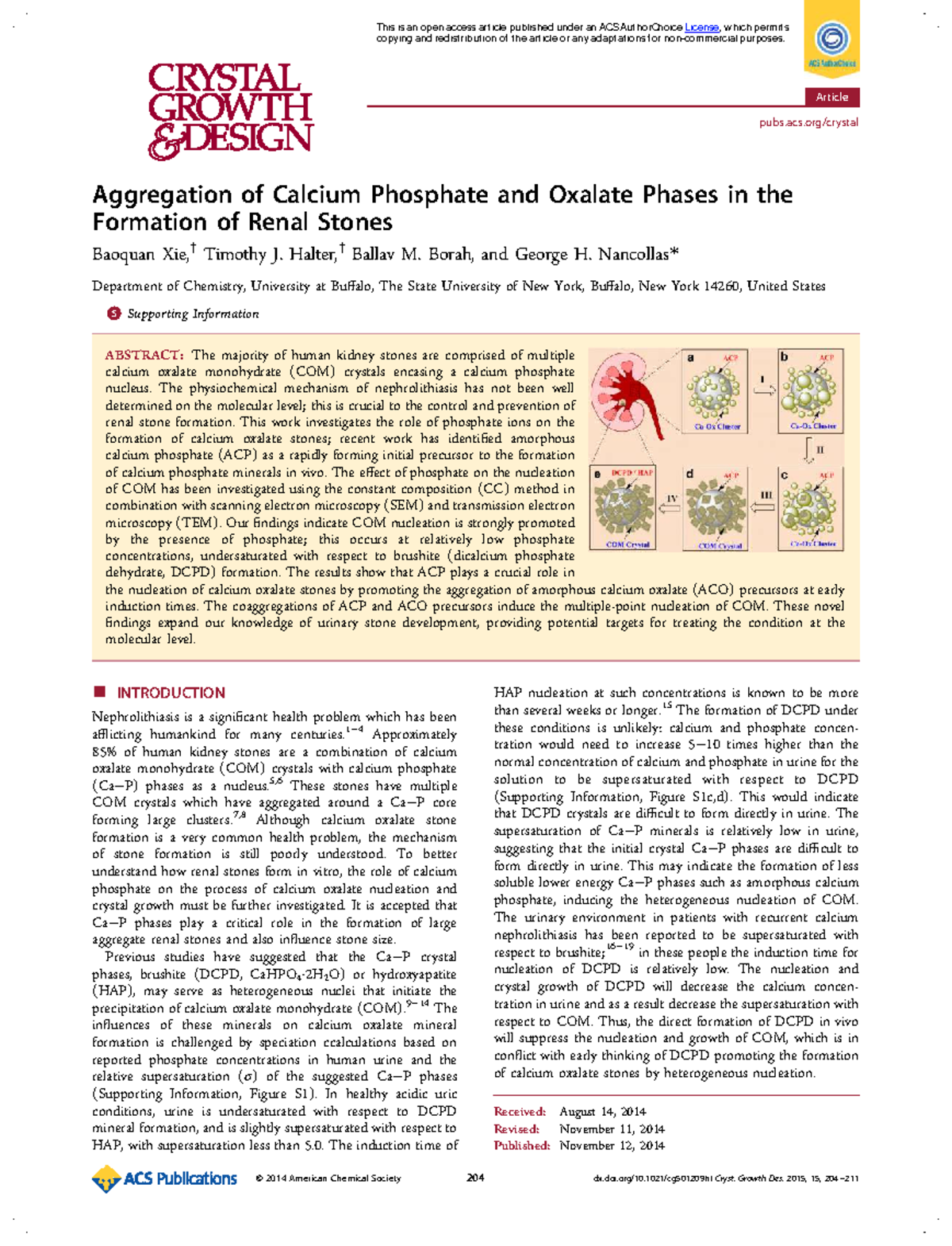 "Chemistry 501: Investigating Calcium Phosphate and Oxalate in Renal ...
