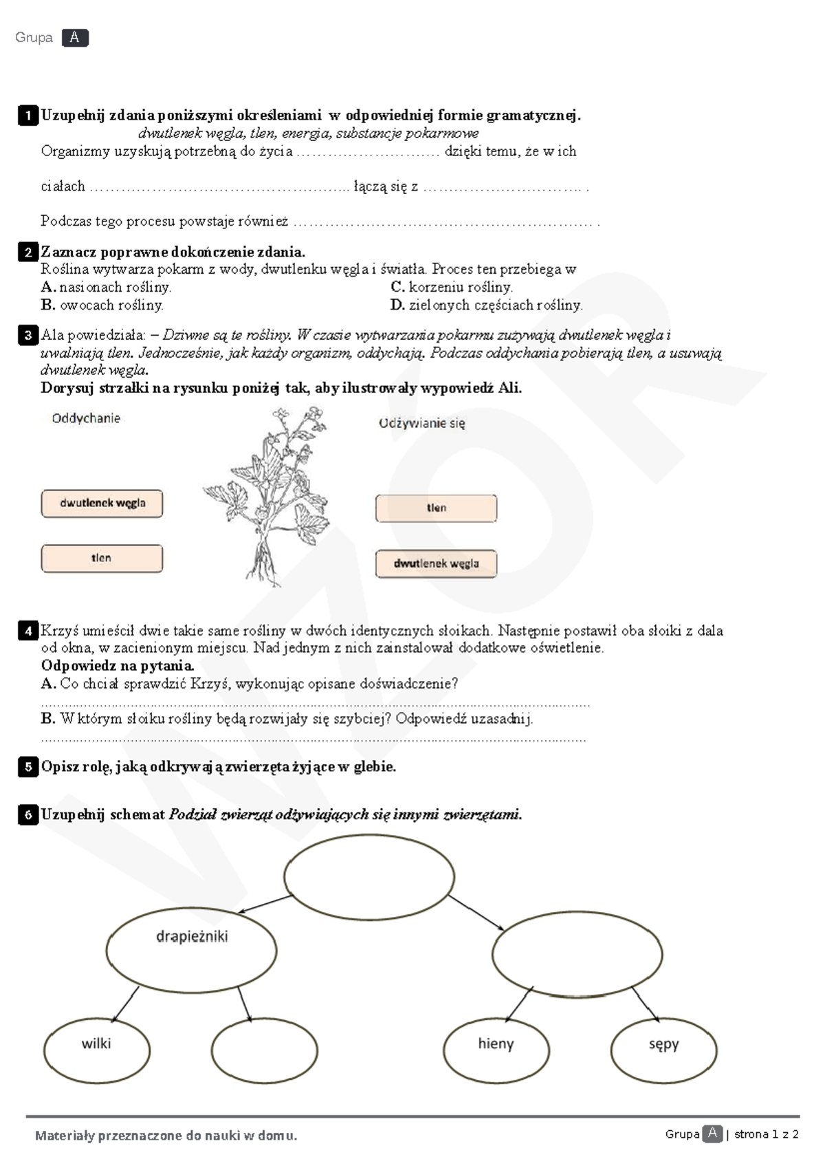 Sprawdzian Czwartoklasisty Przyroda Rozdział 2 www.studocu.com