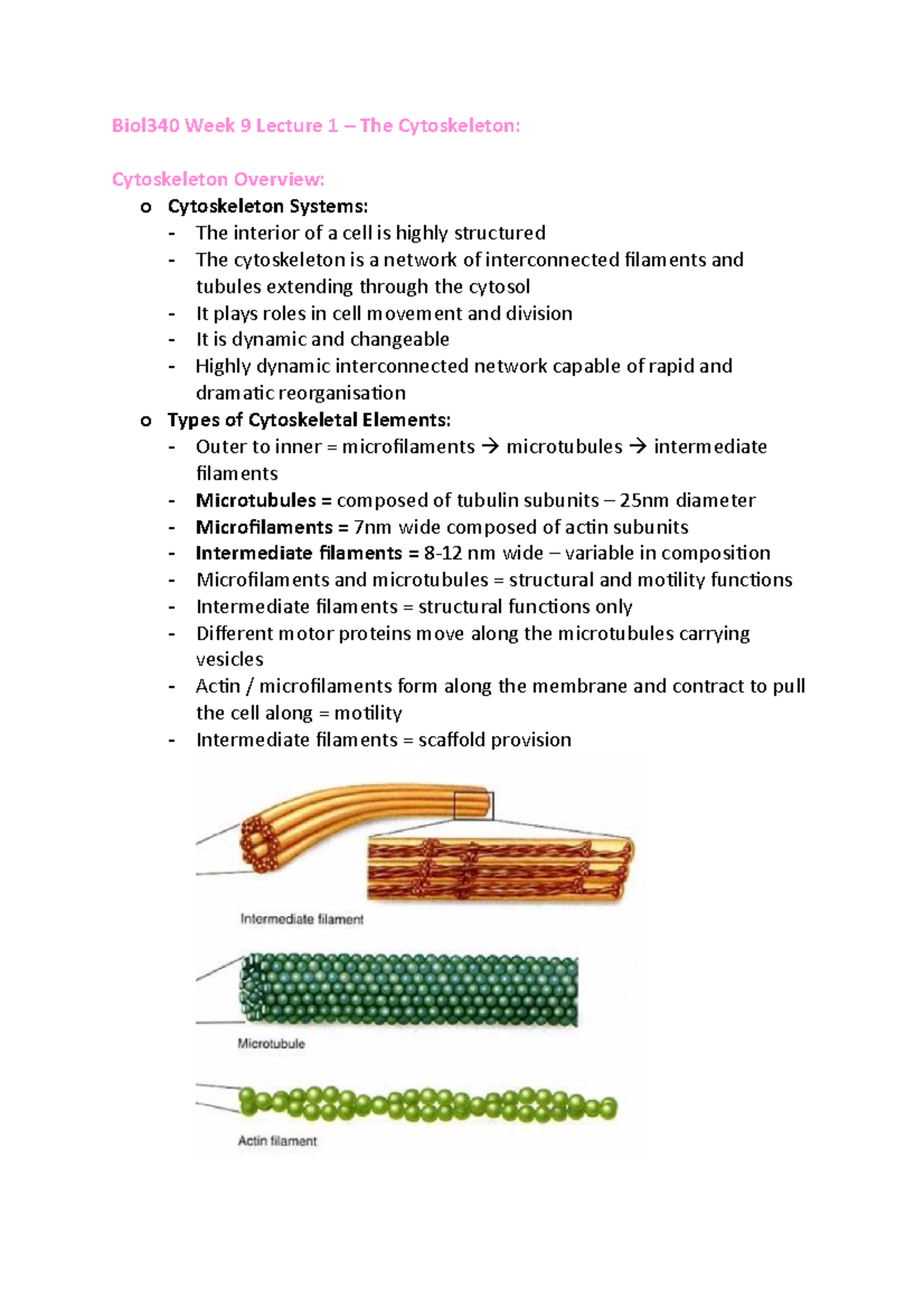 Biol340 Week 9 Lecture 1: The Dynamic Role of the Cytoskeleton - Studocu