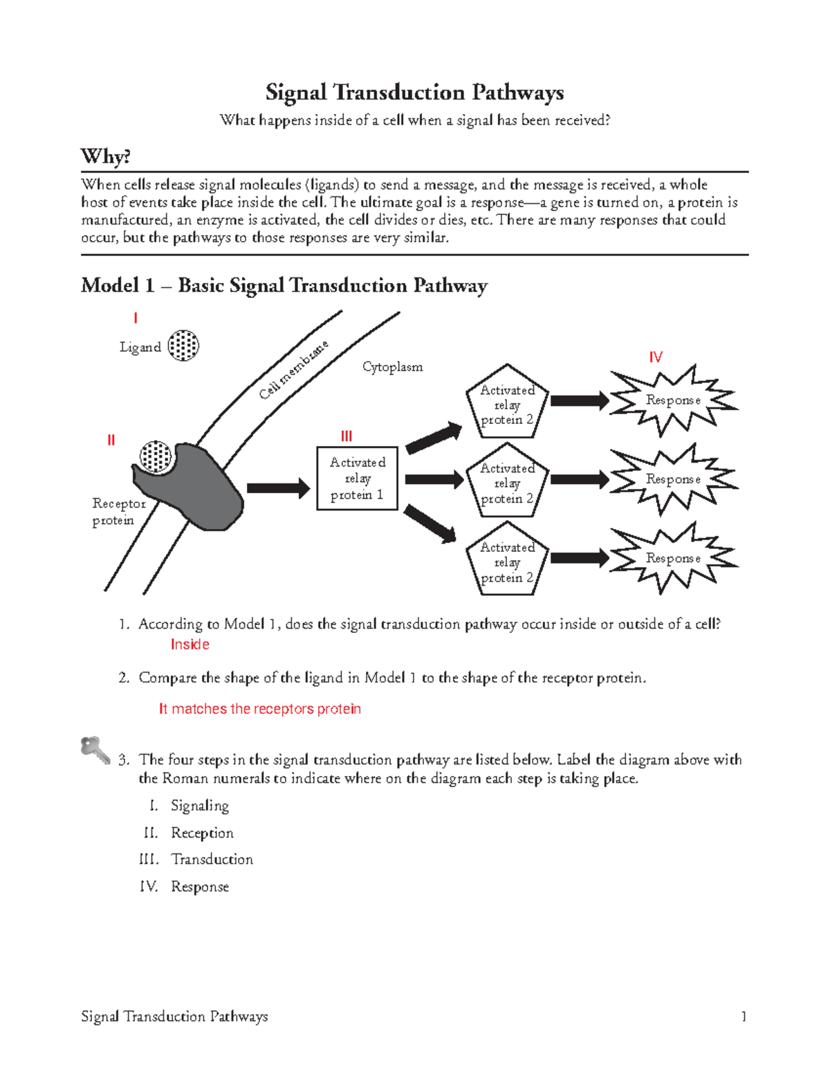 Signal Transduction Pathways Analysis - Cell Signal Part 2 (Biol 101 ...