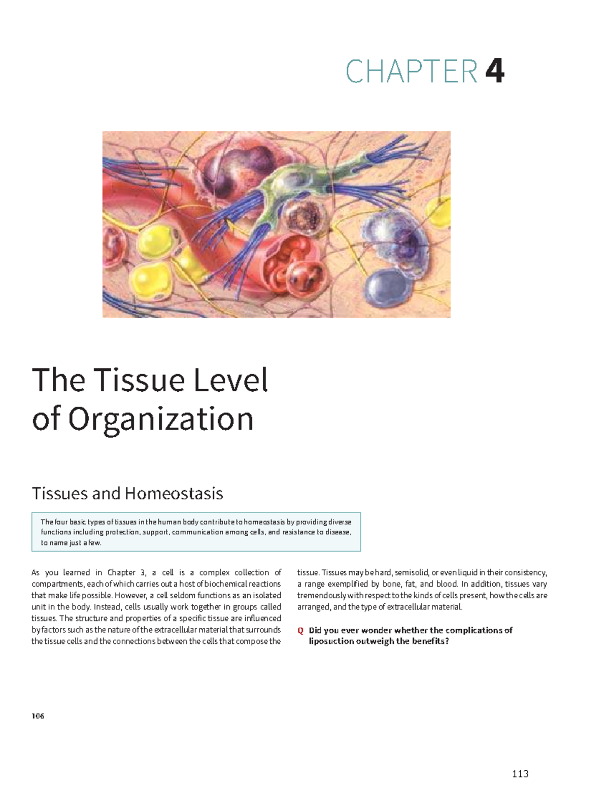 Chapter 4: The Tissue Level of Organization - Tissues and Homeostasis ...