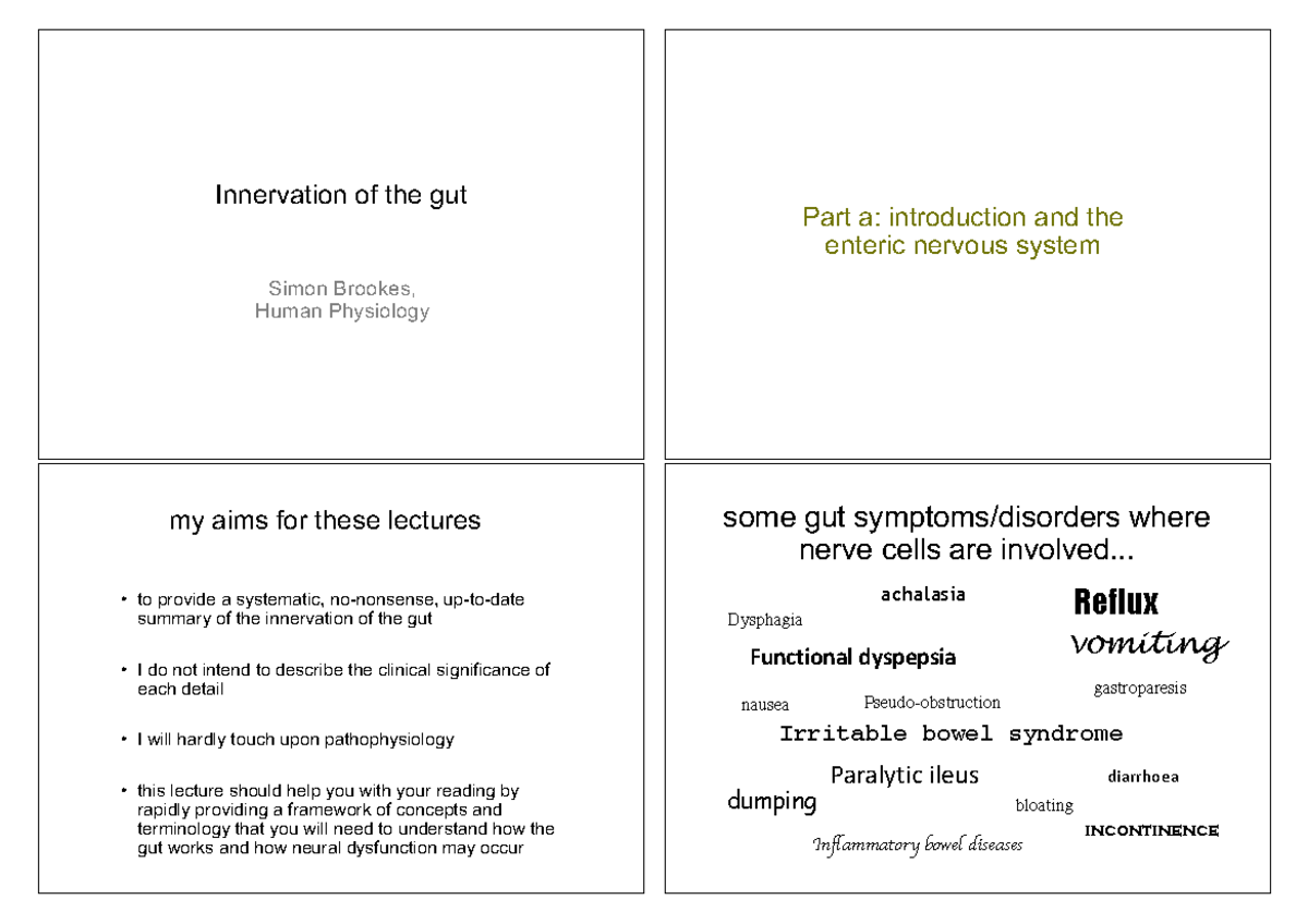 Innervation of the Gut: Introduction to the Enteric Nervous System ...