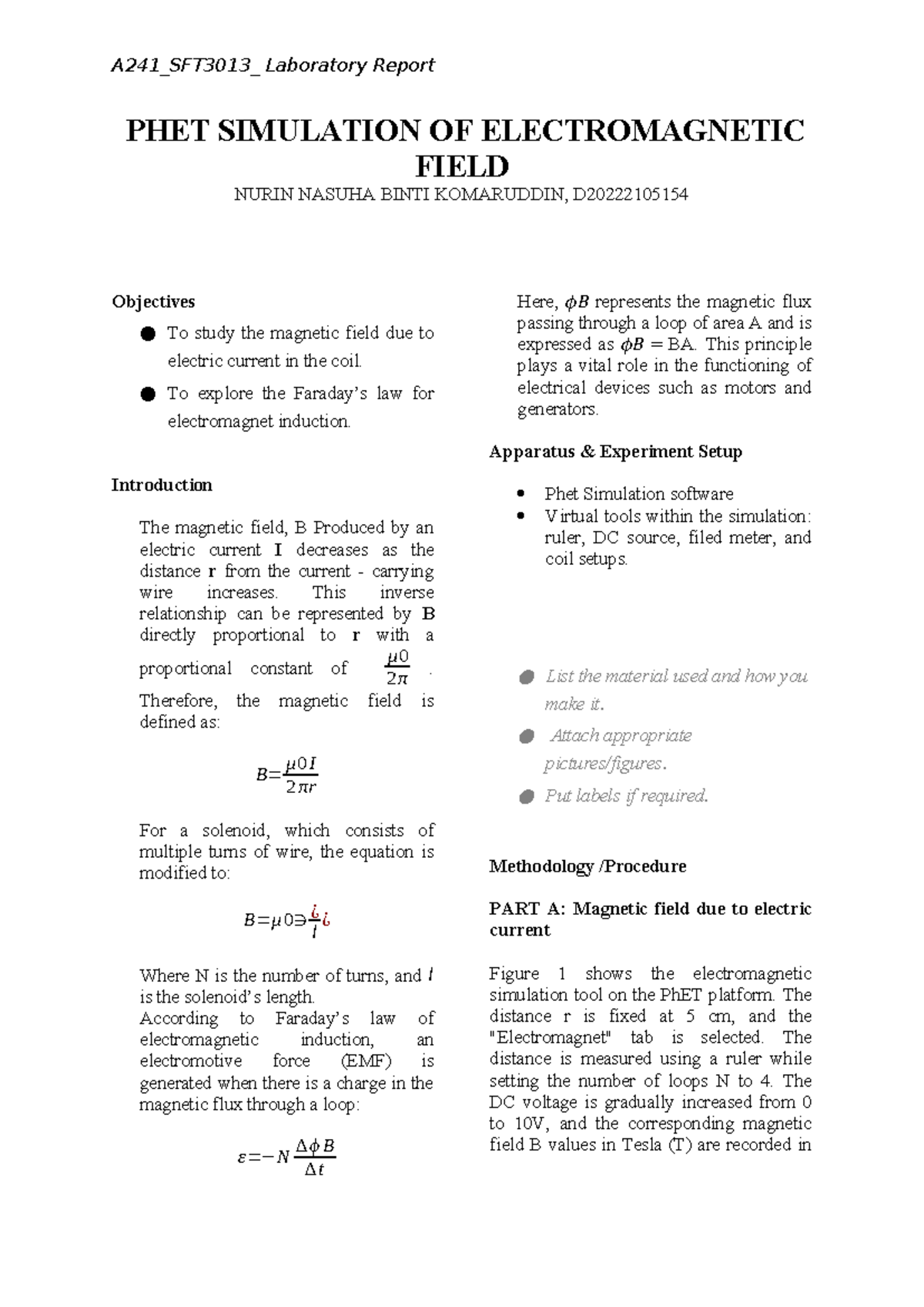 A241 SFT3013 Lab Report: PHET Simulation of Electromagnetic Fields ...