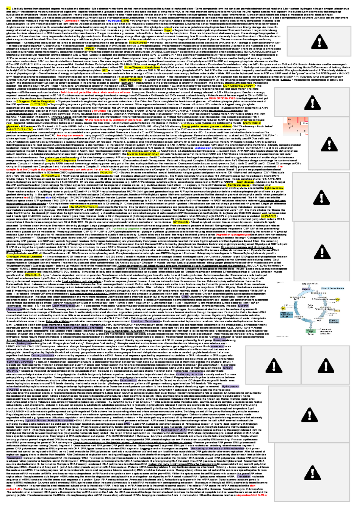 101 Cheat Sheet Exam - Google Docs - BG: Life likely formed from ...