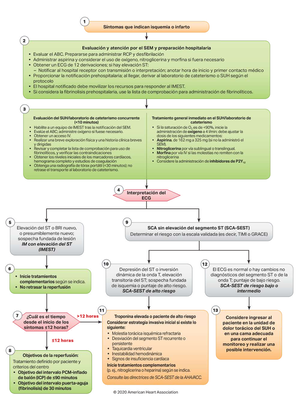 Algoritmo taquicardia con pulso en adultos - cardiologia - Studocu