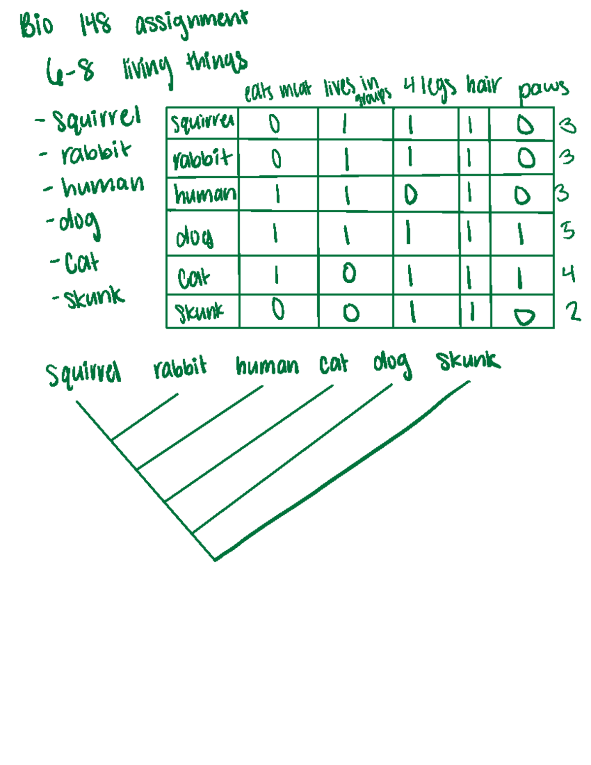 BIO TREE - practice tree - BIO148 - Bio 148 assignment 6 8 living ...