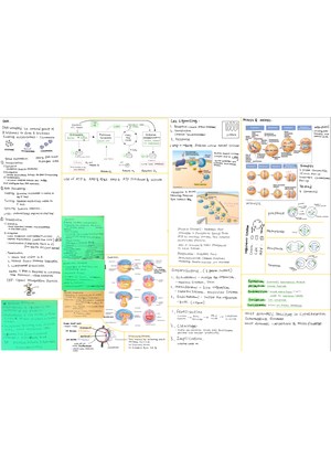 A4 summary sheet BIOSCI 107 for Mid Term Test - Pseudostratified ...