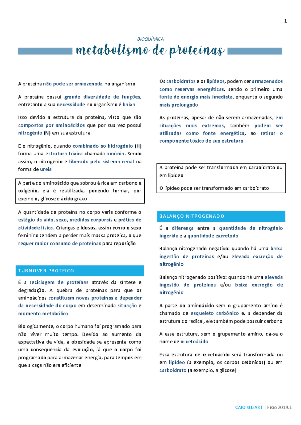 Metabolismo de Proteínas - Warning: TT: undefined function: 32 Warning ...