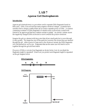 Experiment 17 - concept - 232 EXPERIMENT 17 Equilibria and the ...