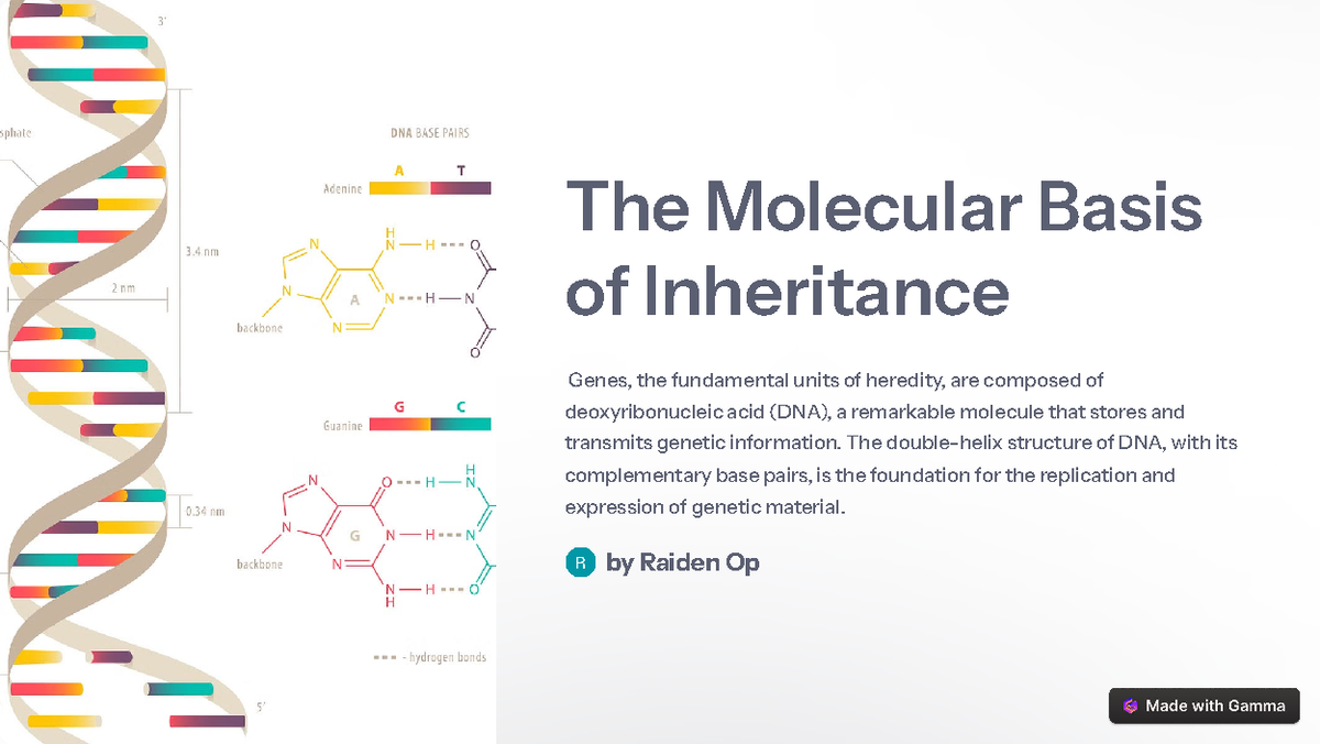 The Molecular Basis of Inheritance - The Molecular Basis of Inheritance ...