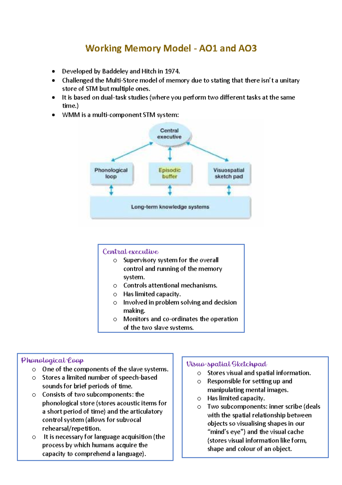 Working Memory Model Study Notes (Psych 101 - Final Exam) - Studocu