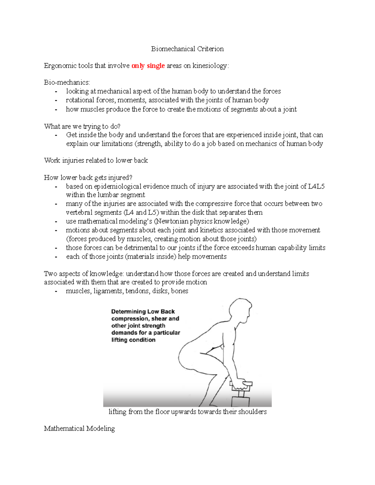 Biomechanical Modeling of Lower Back Injury Risks and Forces in ...
