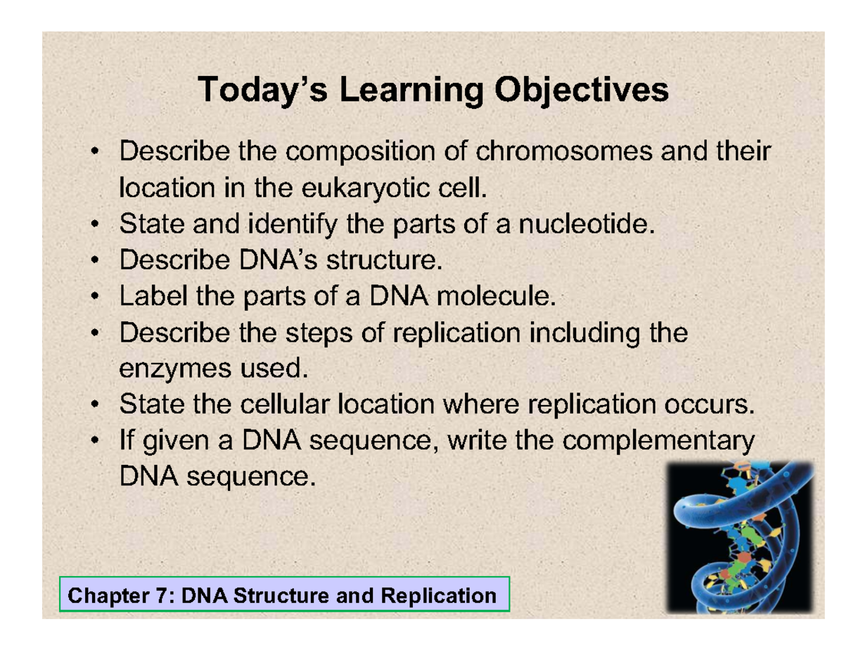 Chapter 7 & 8: DNA Structure, Replication, and Gene Expression Overview ...