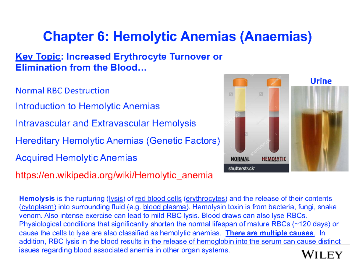 Bio480 Chapter 6: Key Insights on Hemolytic Anemias - Studocu