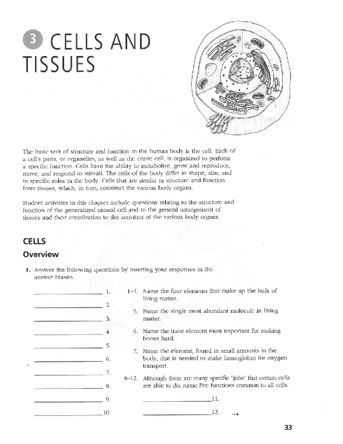 Human Body Tissues Worksheet