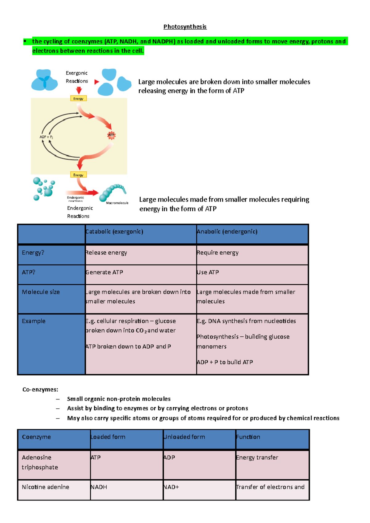 Photosynthesis Overview - Lecture Notes (Biology 6) - Studocu